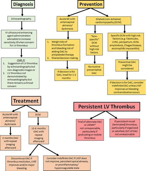 lv emzik|Management of Patients at Risk for and With Left Ventricular .